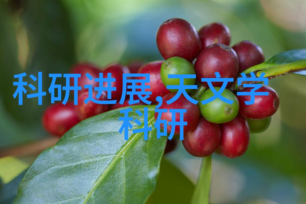 cy填料系统优化与应用实践