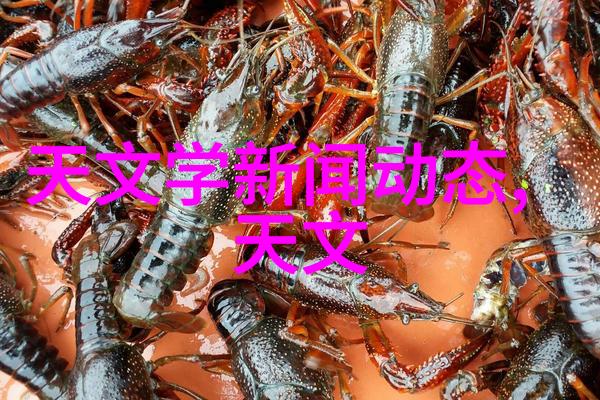 密封件设备的选择与维护