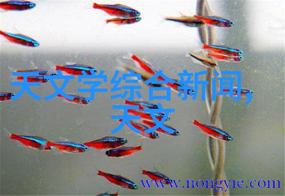水电安装三级资质要求你的项目要小心处理这份文件