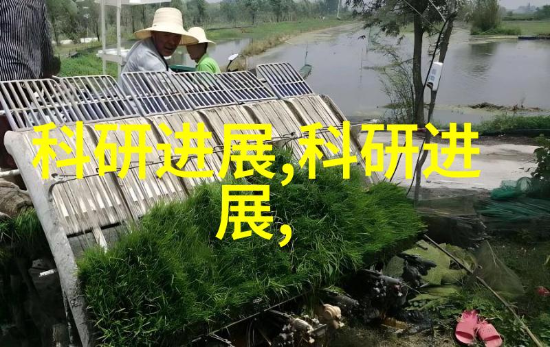 百分之百的坚固解密PE管100级国标壁厚的幽默实用指南