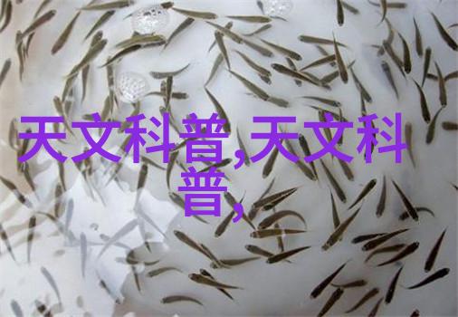 中国智能制造2025下载-智造新篇章深入解读中国智能制造2025战略与实施指南