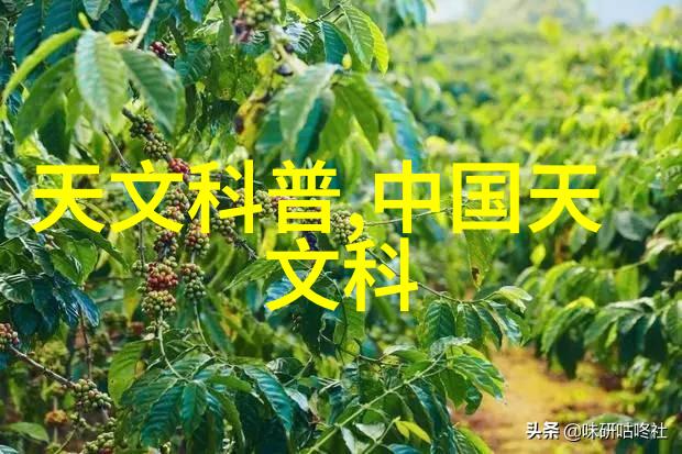 药品包装机械让您的药品包装变得轻松简单