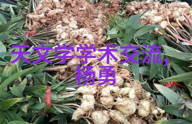自动化程度高的滚筒输送系统可以带来什么好处