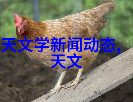 制冷的魔法化工设备中的冰雪奇迹