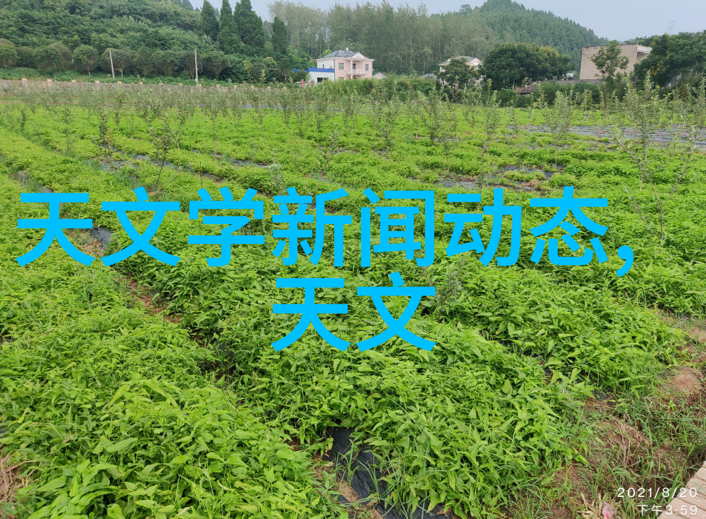 反应釜与反应器的区别探究化学过程中的关键设备对比分析