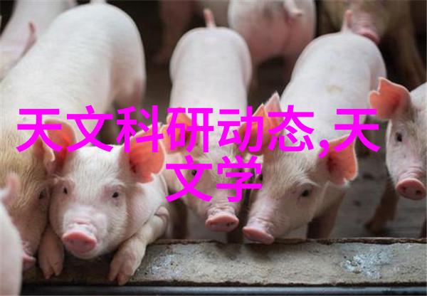 垃圾分类的新工具塑料分离器如何帮助我们减少浪费