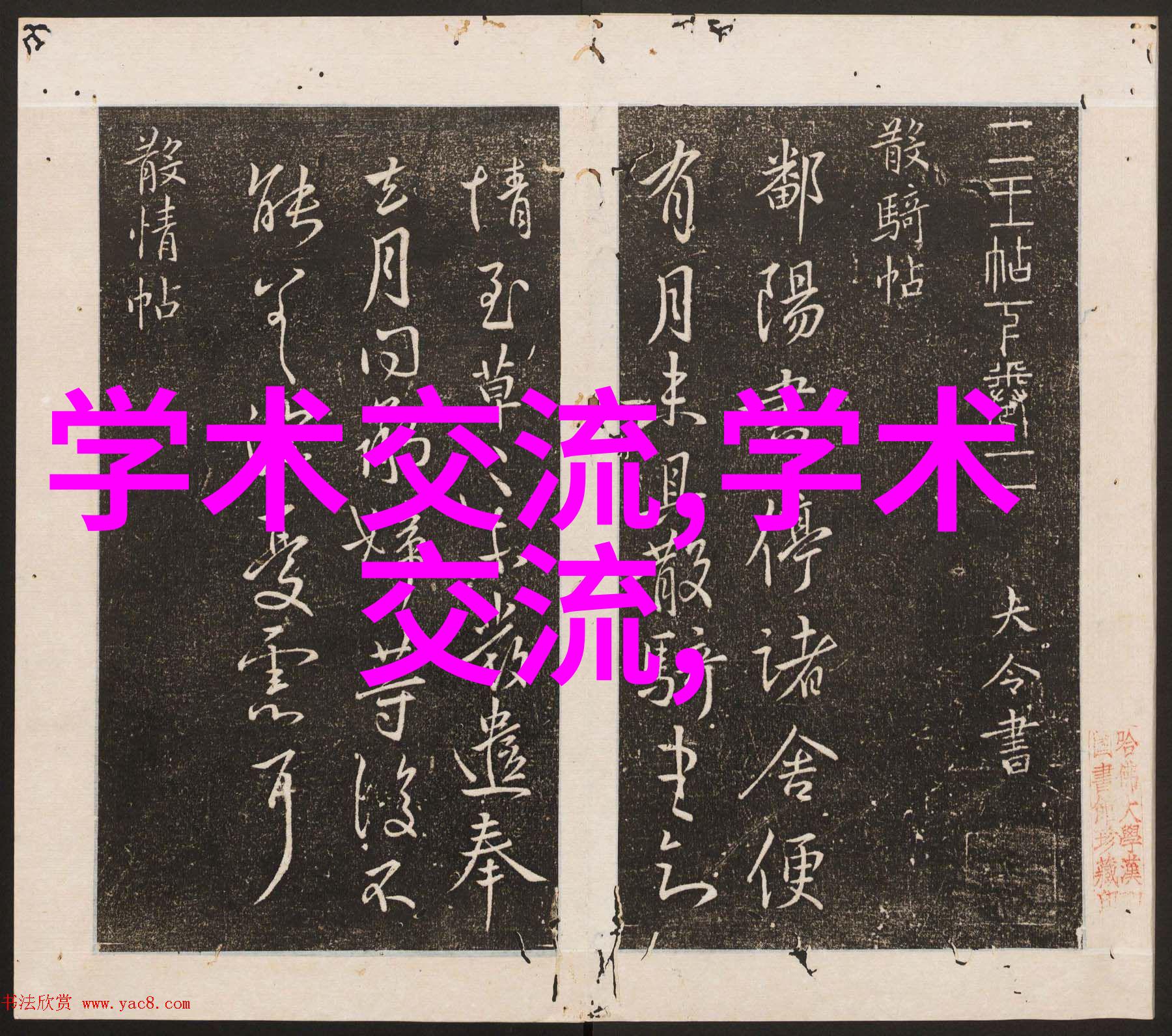 胶囊剂机械-探究新型胶囊剂机械的发展与应用