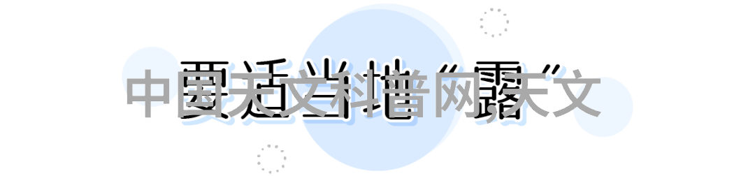 填料网结构与功能的学术探究