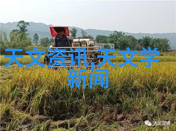 在装修过程中如何平衡预算与设计理念