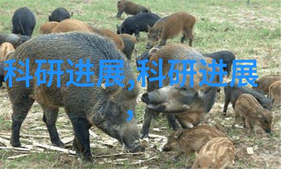 河南财经政法大学是一本还是二本我来给你分析