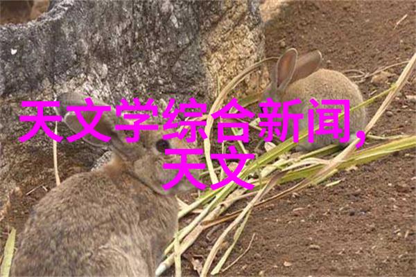 智能交通监控系统我是如何让城市的车流更有条理