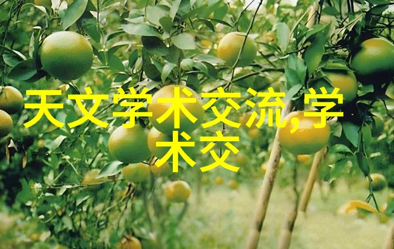饰面石材的装饰艺术与工程应用研究
