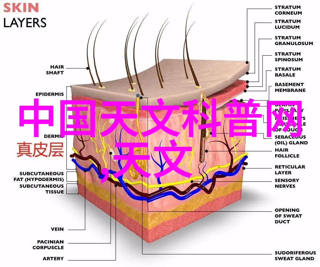 油水分离器操作指南高效分离油水混合物的方法