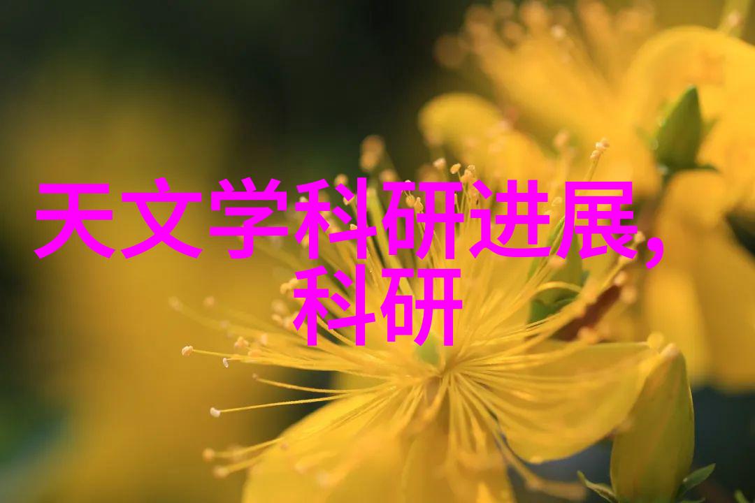 探索功能最全的智能手表全面健康管理与智能生活体验