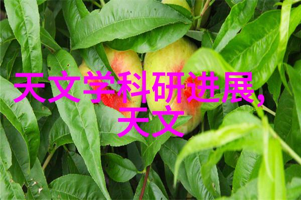 跨境电商平台哪个最好最可靠全球购物大师选手