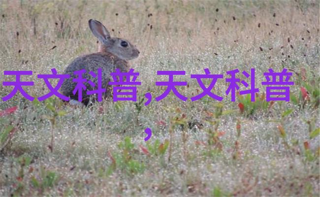 化工药品外包装机械-探讨高效环保的化工药品包装解决方案