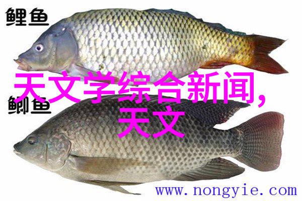 化工胶囊剂机械在环保方面的表现如何