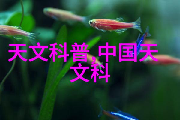 精细化学品我是如何在家中自己做出高效清洁剂的