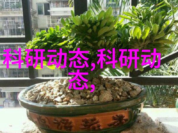 何时需要就医新的症状监测标准在哪里解析2022年的诊断流程