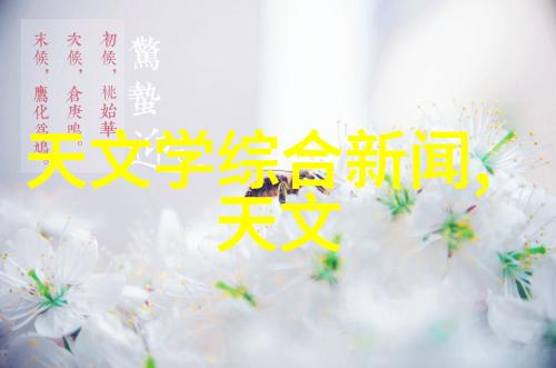 干燥物料对冷冻干燥机性能影响分析