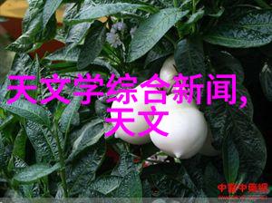 博控智能液晶显示终端满天星花语是什么