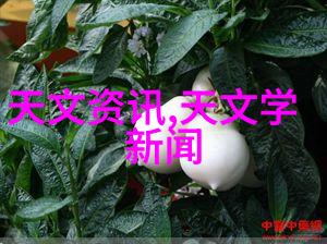 不锈钢市场价格最新信息-2023年第一季度不锈钢产品价格走势分析