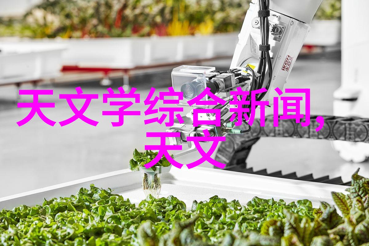 化学实验室的守护者反应釜拆卸之谜