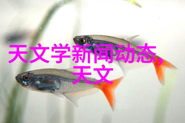 旋转脱水连续离心过滤机的运作原理与应用场景