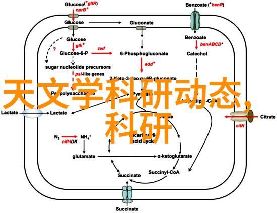 专利之旅从创意到法律保障的每一步