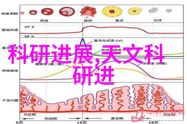 探索专业技术资格证书的多样面纱有哪些种类等待我们去发现