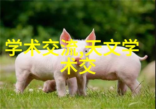 工业制冷设备冰点技术与高效能的并行之道