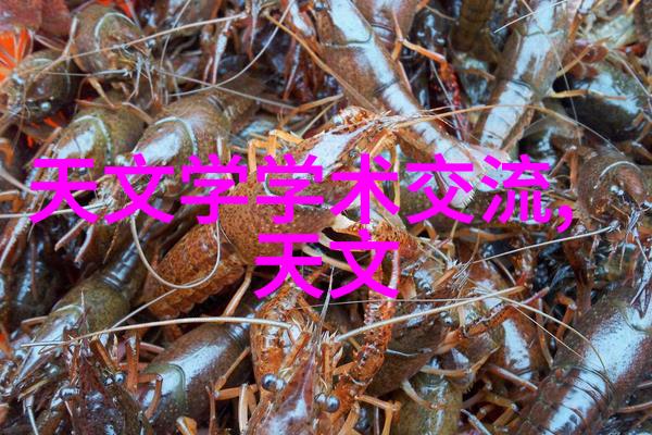 化工工艺流程图从繁复到简洁的艺术探索