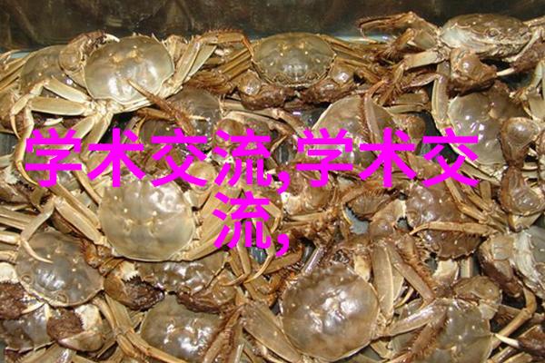 神秘检测师揭秘包装检测设备的未来之战