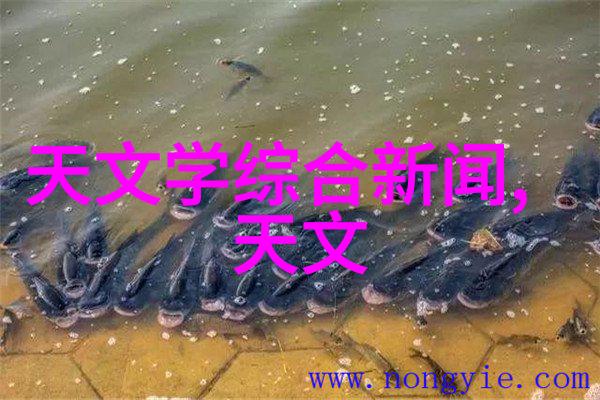 主题我来告诉你压滤机的安全风险及预防措施