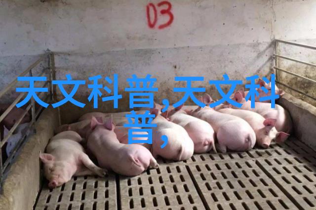 江苏财经职业技术学院培养金融精英的殿堂