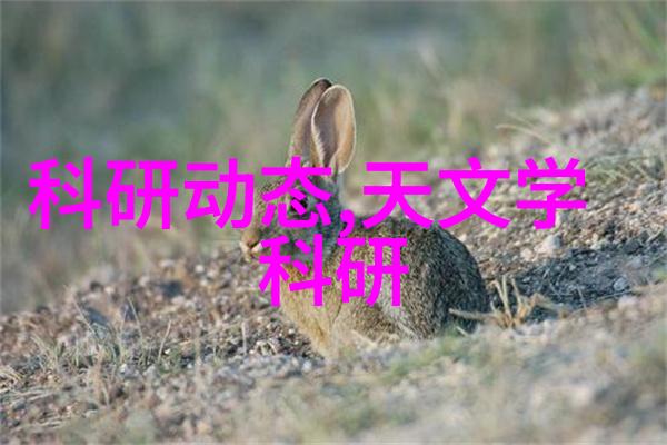 输送设备我是如何让物流效率提升的