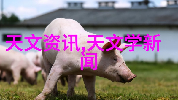 尘封岁月的秘密骨架中的故事