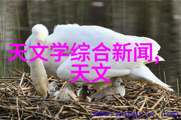 药物生产的精密工艺丸剂机械的运作原理与应用实践