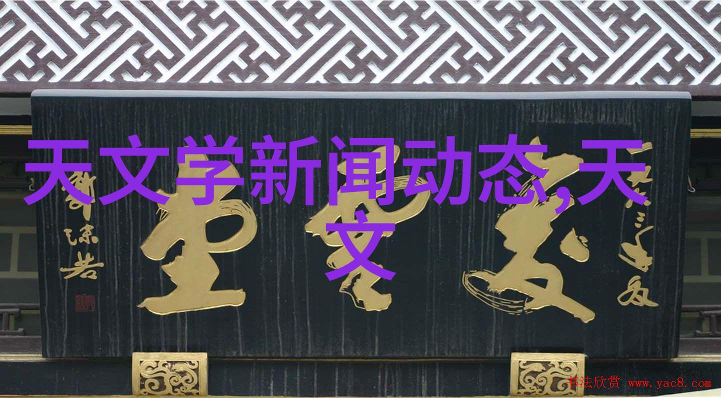 纹理对比板波纹与丝网波纹填料的独特魅力探究