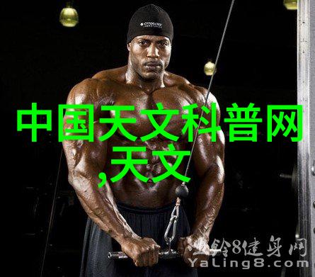 揭秘手机处理器选购大作战从平衡之主到速度小能手