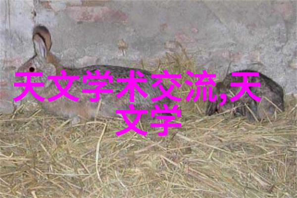 专业生产规整填料高质量混凝土配方