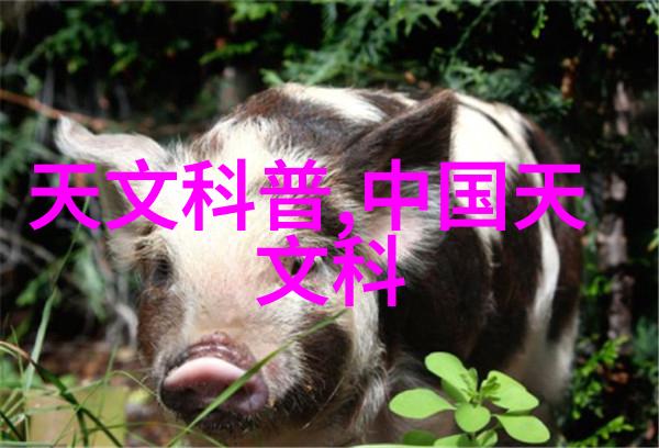 对于不同类型的大型净水设备其安装流程又有什么差异呢