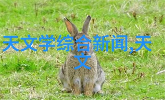 企业级安全认证商用密码测评师证书的重要性与应用