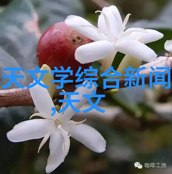 中国新冠病毒特效药研发突破解药梦想逐步成真