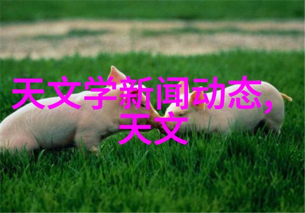 磁力泵静谧的巨轮
