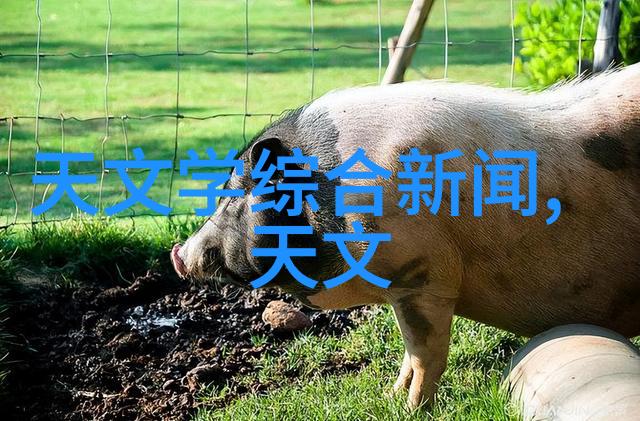 分子筛技术探索微观世界的高效分离与纯化方法