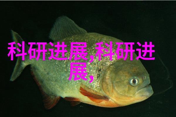 气流比重分选机中的高效分选技术气流比重分选机的高效分选技术研究
