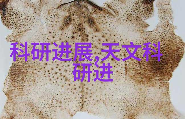 雨幕下的守护者一探深入的排水管材厂家世界