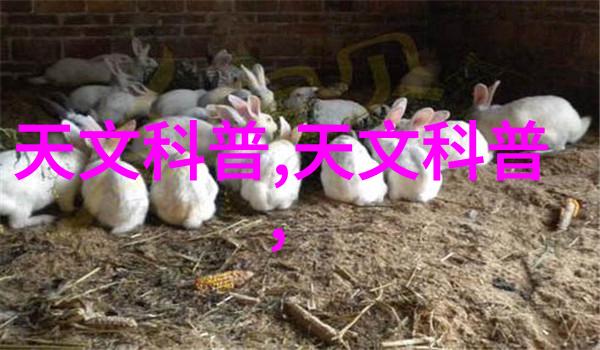 一二三四五类水质标准如何理解这些不同的分类
