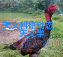 天域苍穹最新章节穿越奇幻冒险的终极篇章